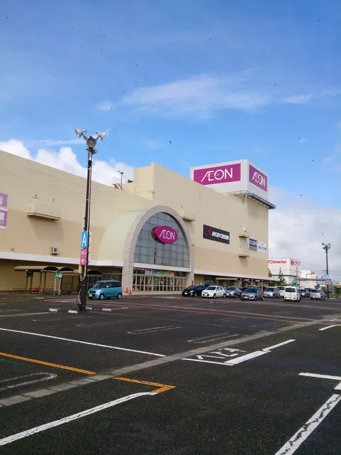 Aeon Niigata West Store