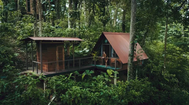 La Selva at Nomad Tree Lodge