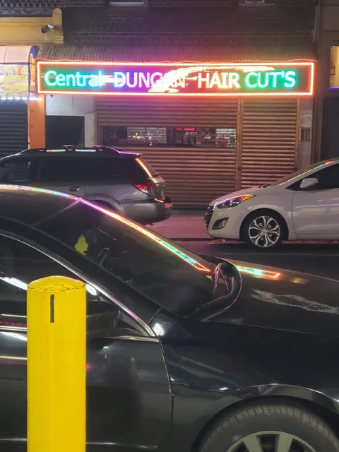 Central Dungan Hair Cut