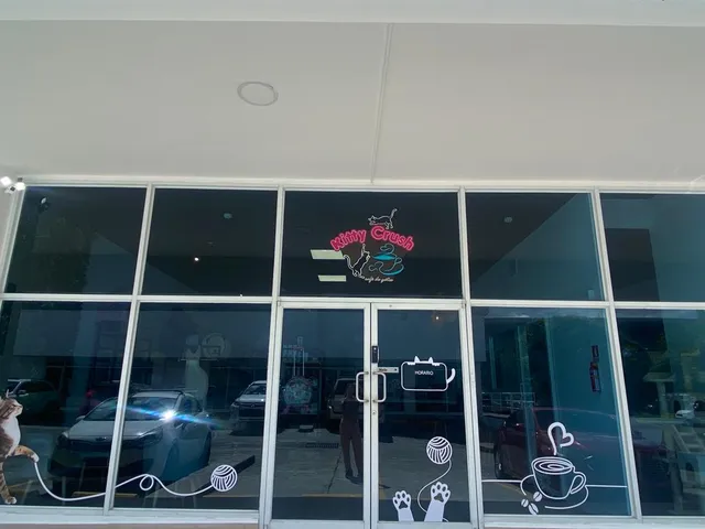 Kitty Crush Café de Gatos. Cat Cafe