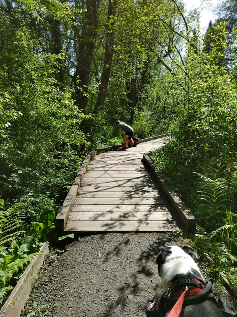 Mission Creek Nature Park