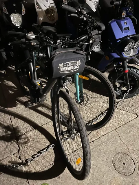 Cruzin Hawaii - Powered by GoGo Rental