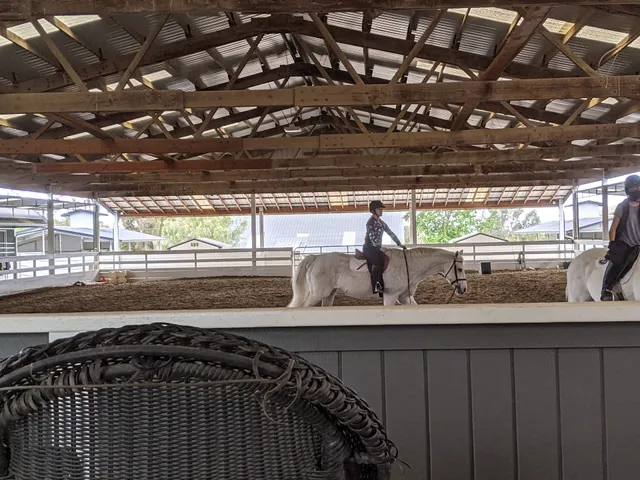 Five Star Equestrian