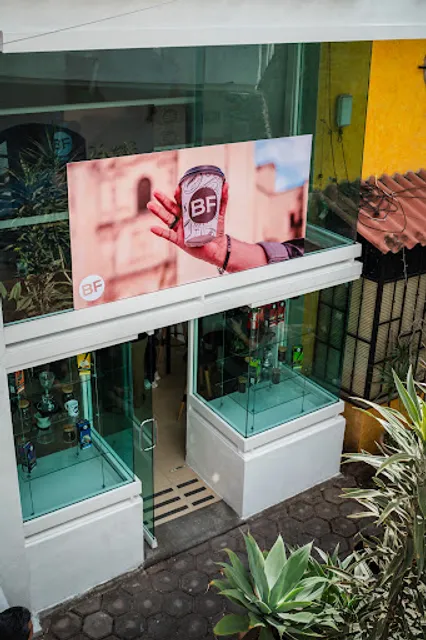 Black Fusion Cuernavaca