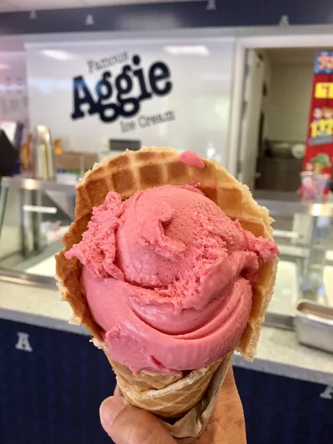 Aggie Ice Cream @ The Creamery