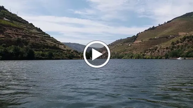 Fialho - Refeições Rápidas - Fast Food