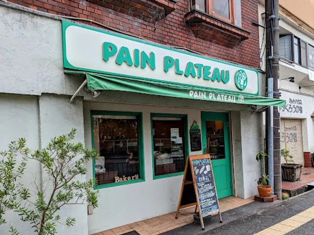 Pain Plateau