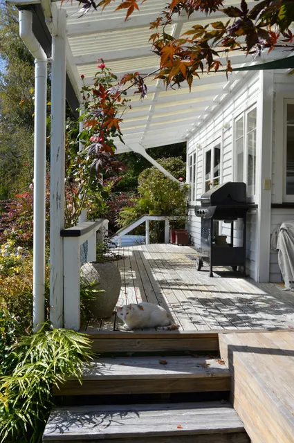 Magpie Cottage - homestay bed & breakfast, Taumarunui