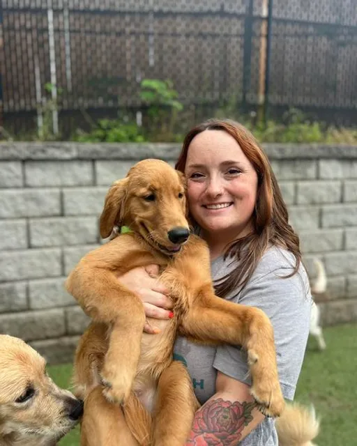 Hounds Lounge Pet Resort and Spa - North Little Rock