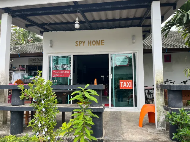 Spy Home