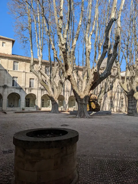 Cloître saint Louis expositions