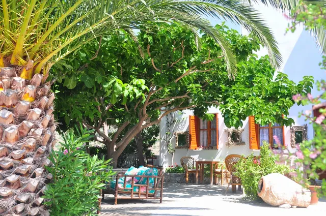 Petrino, Studios & Gastronomy