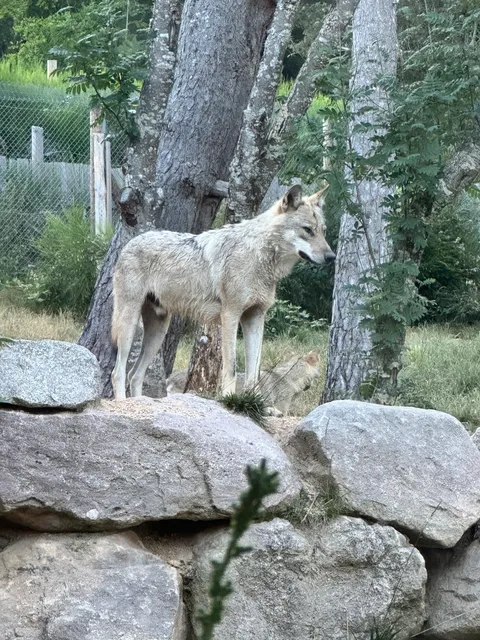 Les tanières du Gévaudan