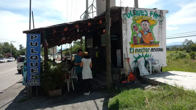 Pulques El Nectar Mexicano