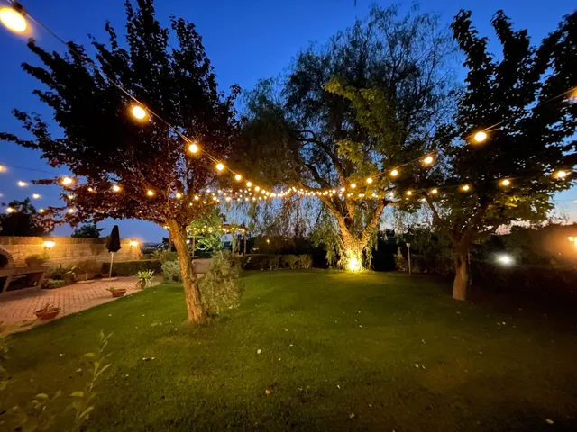 B&B L'Albero del Pepe