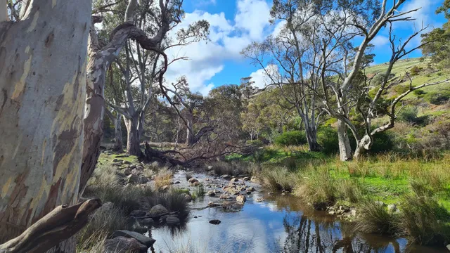 Garnet Kelly Reserve