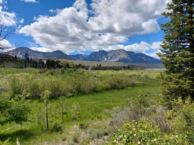 Taylor Creek Boardwalk