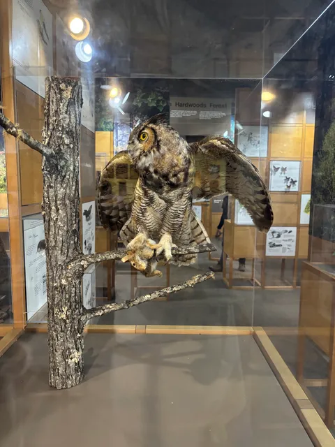 Sugarlands Visitor Center