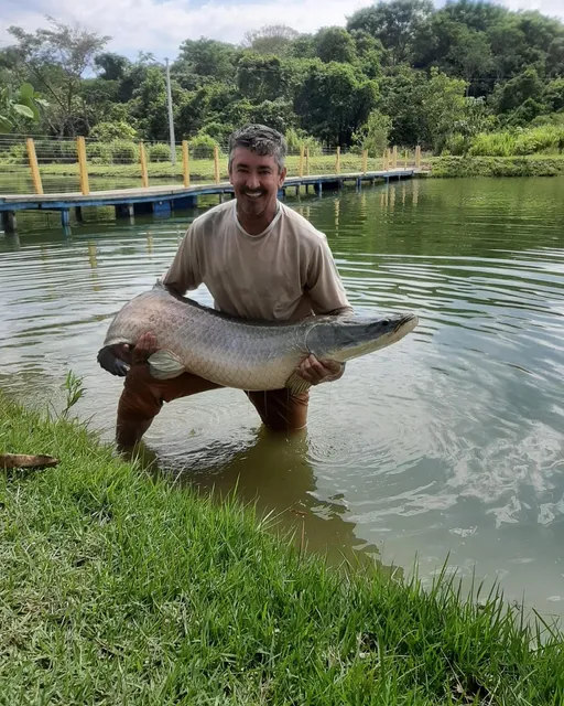 Pesque Pague do GILMAR e POUSADA