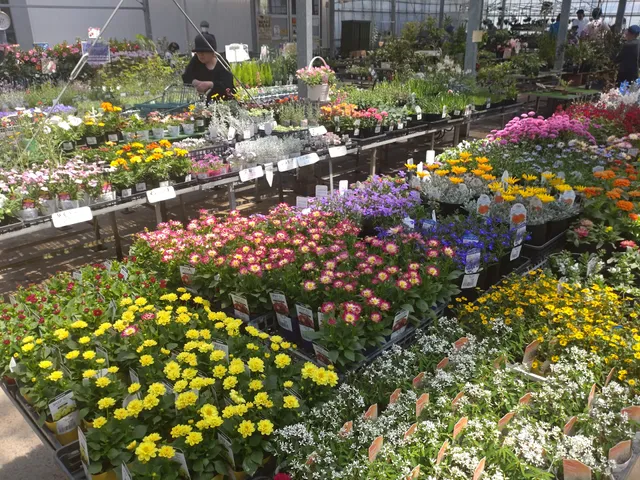 JA Aichimikawa Ikoinonoen