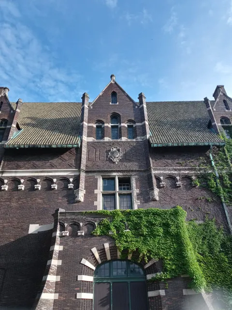 Collingwood Arts Center Inc