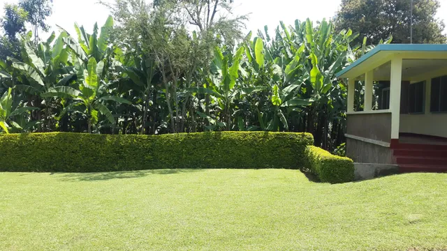 STELLAS VILLA HOMESTAY