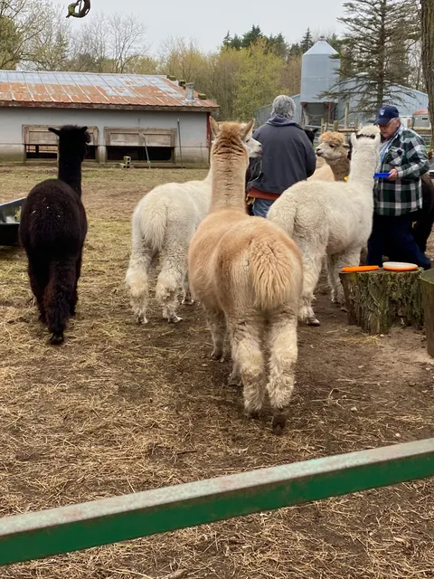 Frost Farm Alpacas