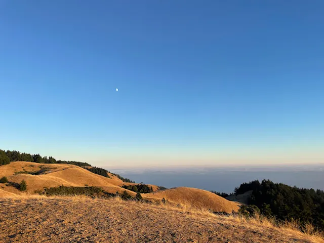 Mt Tamalpais