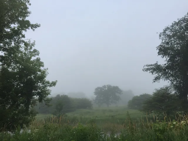 Elroy, - Fair, - At, - Schultz, - Park.