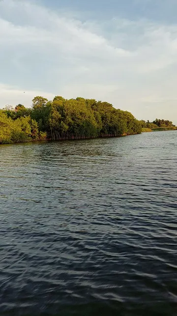 Bioluminiscencia Laguna Manialtepec