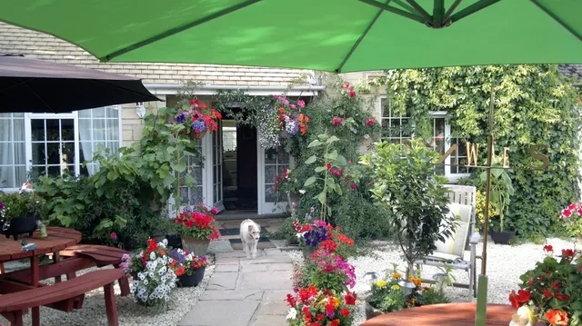 Hayleaze Bed & Breakfast