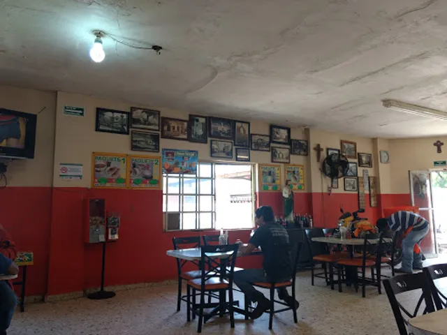 La Siberia Coyoacán