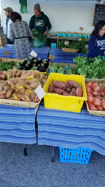 Port Washington’s Organic Farmers Market