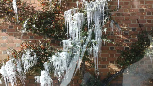 Woodlands Conference Center