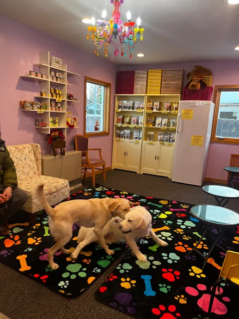 Drool Central: A Mum & Pup Barkery LLC