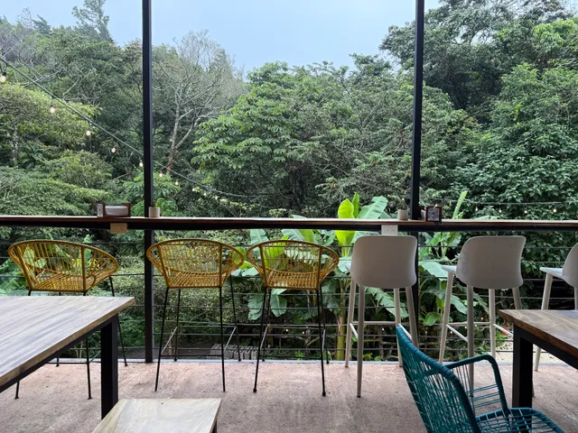 The Jungle Monteverde