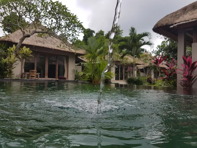 suka's house bed and breakfast