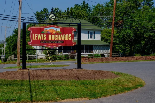 Lewis Orchards
