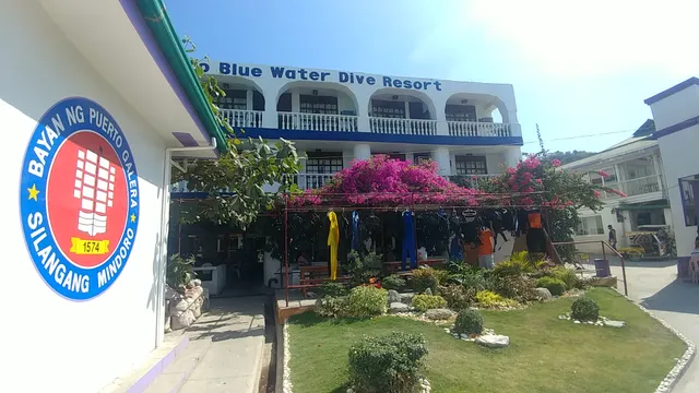 Blue Water Diving