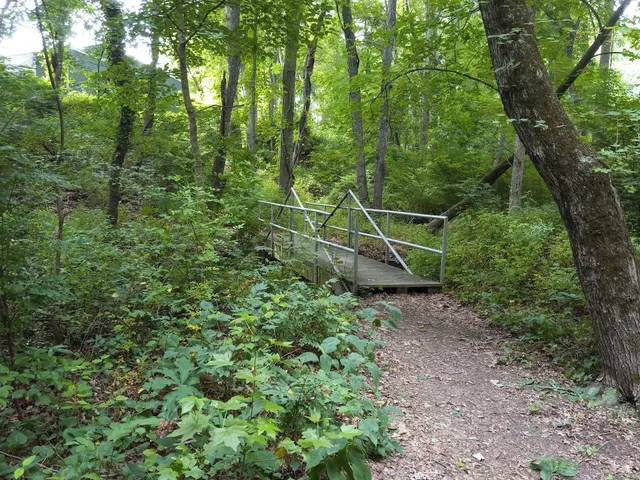 Somerdale Nature Trail Park