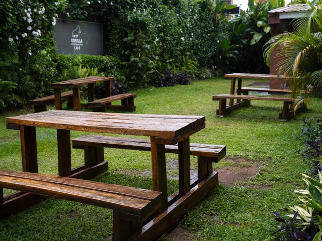 Gorilla Conservation Café - Entebbe