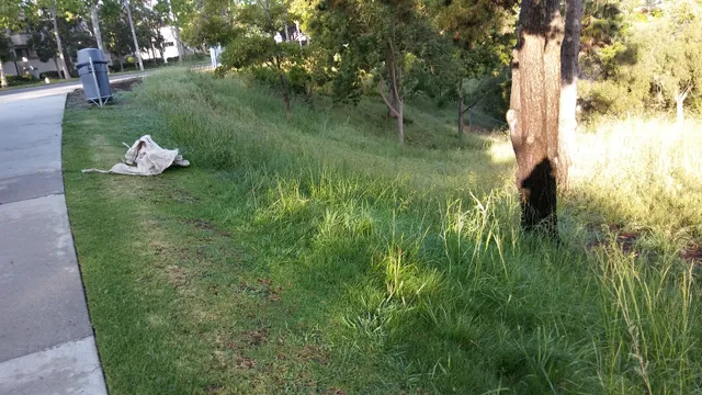 Harbor View Nature Park