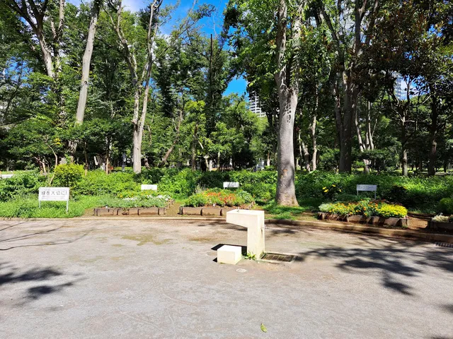 Shinjuku Central Park Citizen's Forest