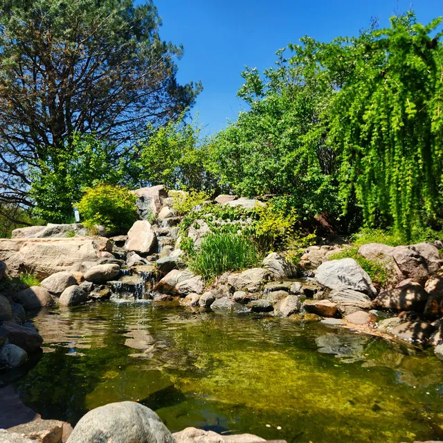 The Arboretum At Gustavus Adolphus College