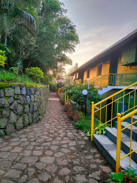 Mountain Trail Munnar