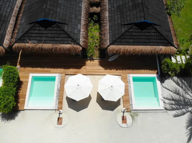 Hollow Tree's Resort