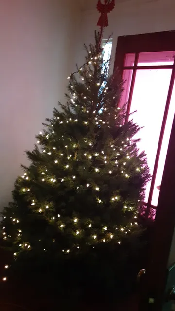 Burton's Farm Market