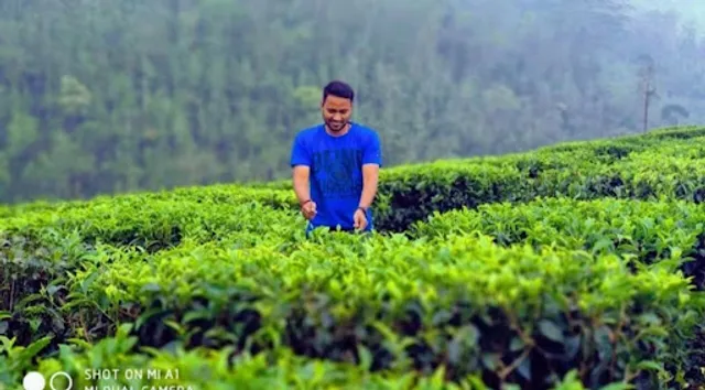 RUDRA TEA UNIVERSAL OPC PVT LTD. ( రుద్ర బెల్లం టీ )