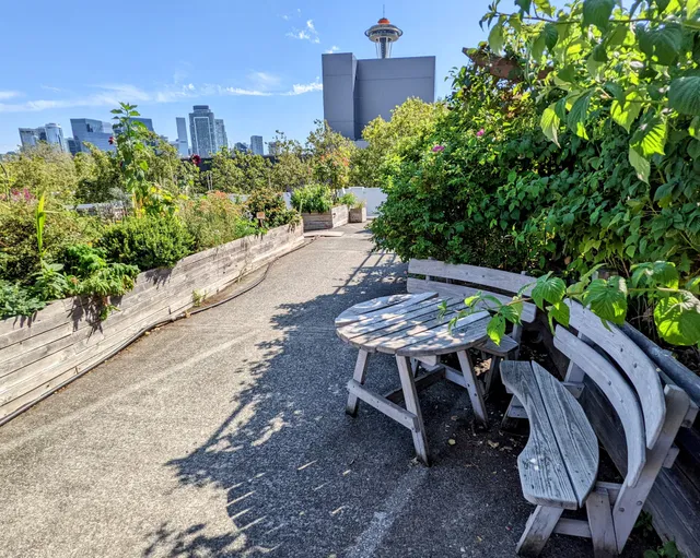 UpGarden P-Patch Community Garden