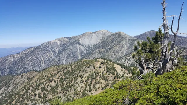 Angeles National Forest